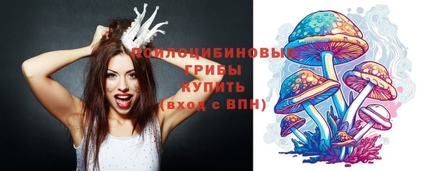 мдма Богданович