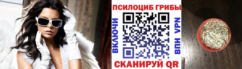 Псилоцибиновые грибы Psilocybine cubensis Купино